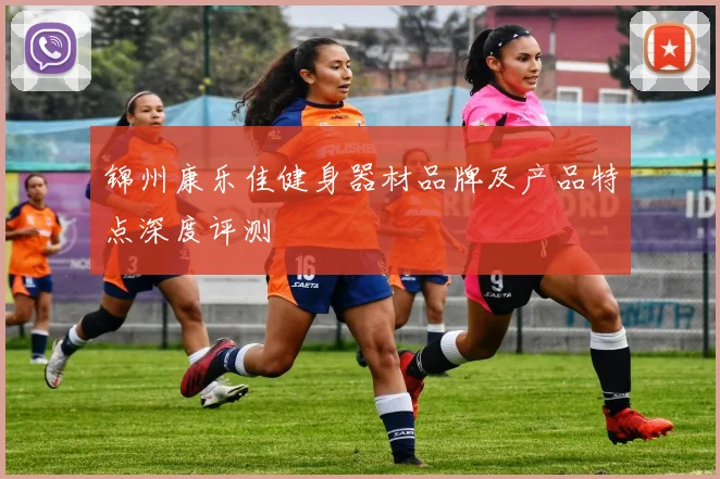 锦州康乐佳健身器材品牌及产品特点深度评测