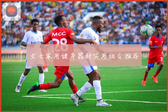 女士家用健身器材实用组合推荐