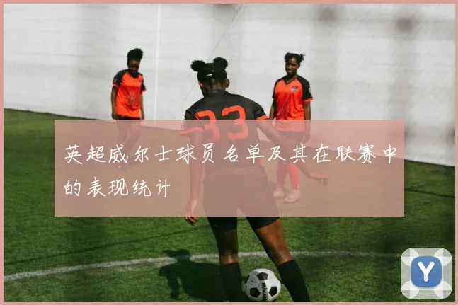 英超威尔士球员名单及其在联赛中的表现统计